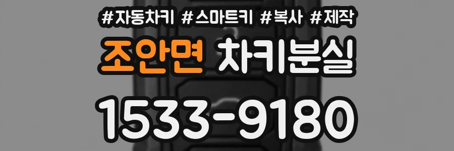 조안면 차키분실