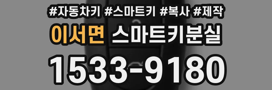 이서면 스마트키분실