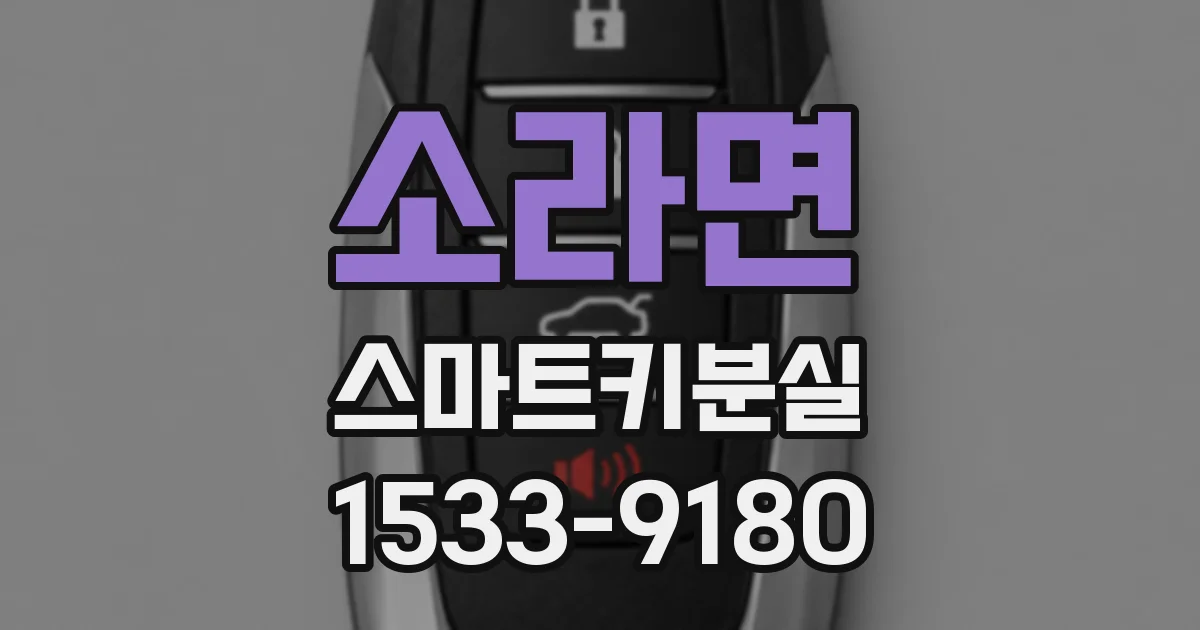 소라면 스마트키분실