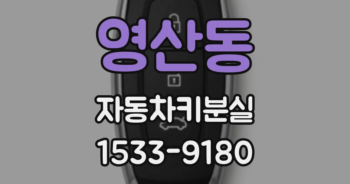 영산동 자동차키분실