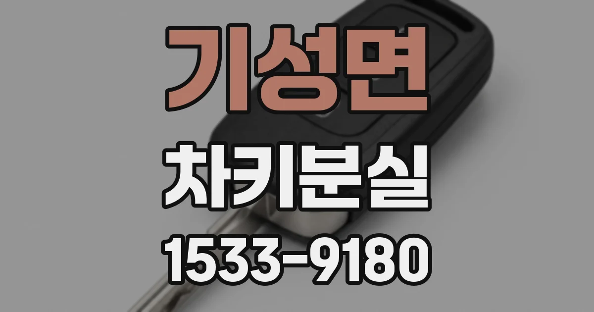 기성면 차키분실