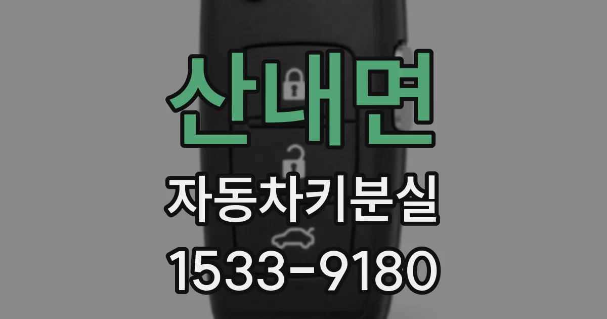 산내면 자동차키분실