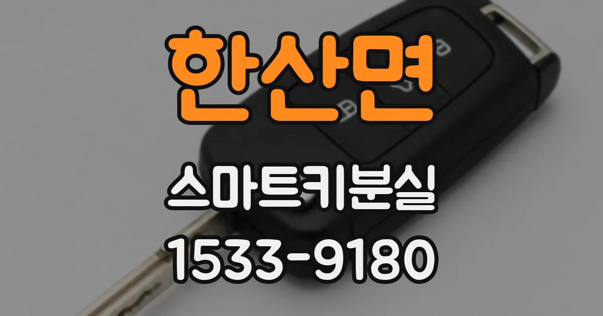 한산면 스마트키분실