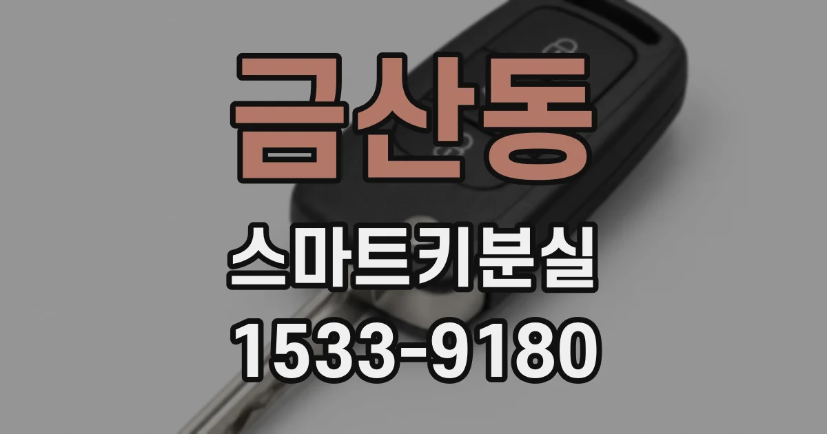 금산동 스마트키분실