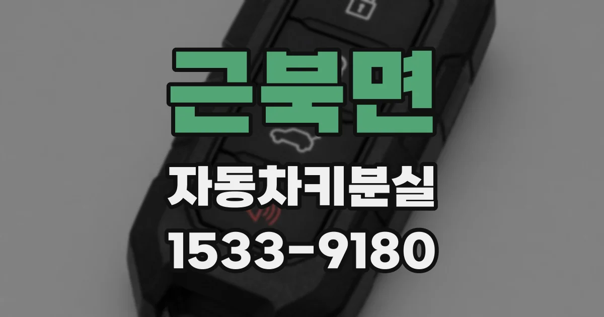 근북면 자동차키분실