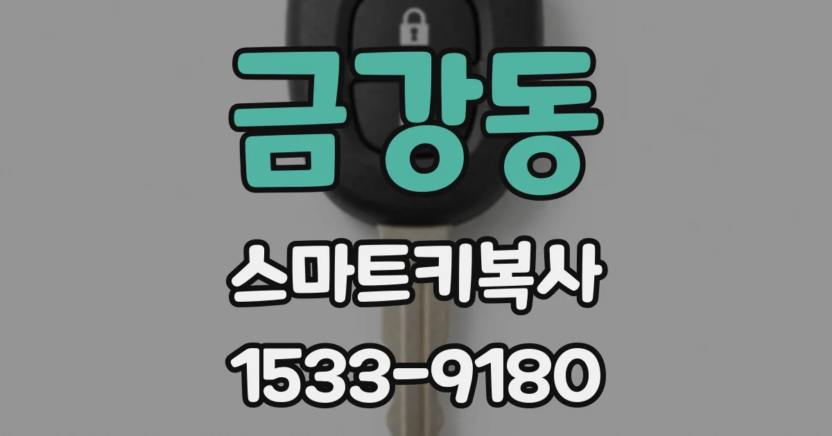 금강동 스마트키복사
