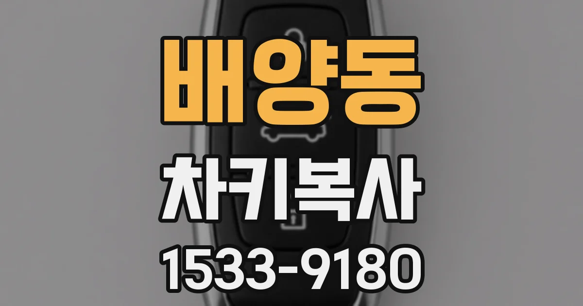 배양동 차키복사