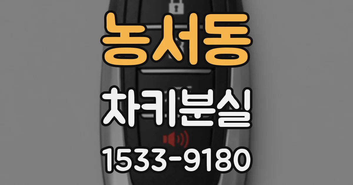 농서동 차키분실