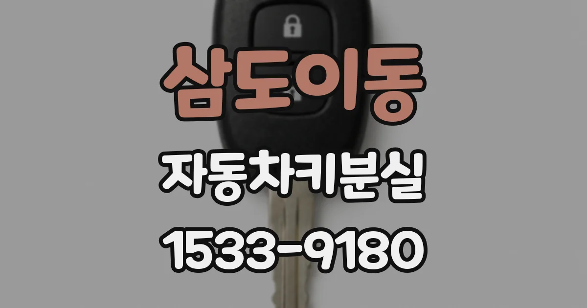 삼도이동 자동차키분실