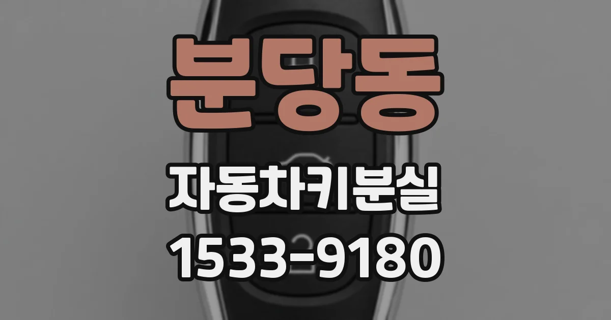 분당동 자동차키분실
