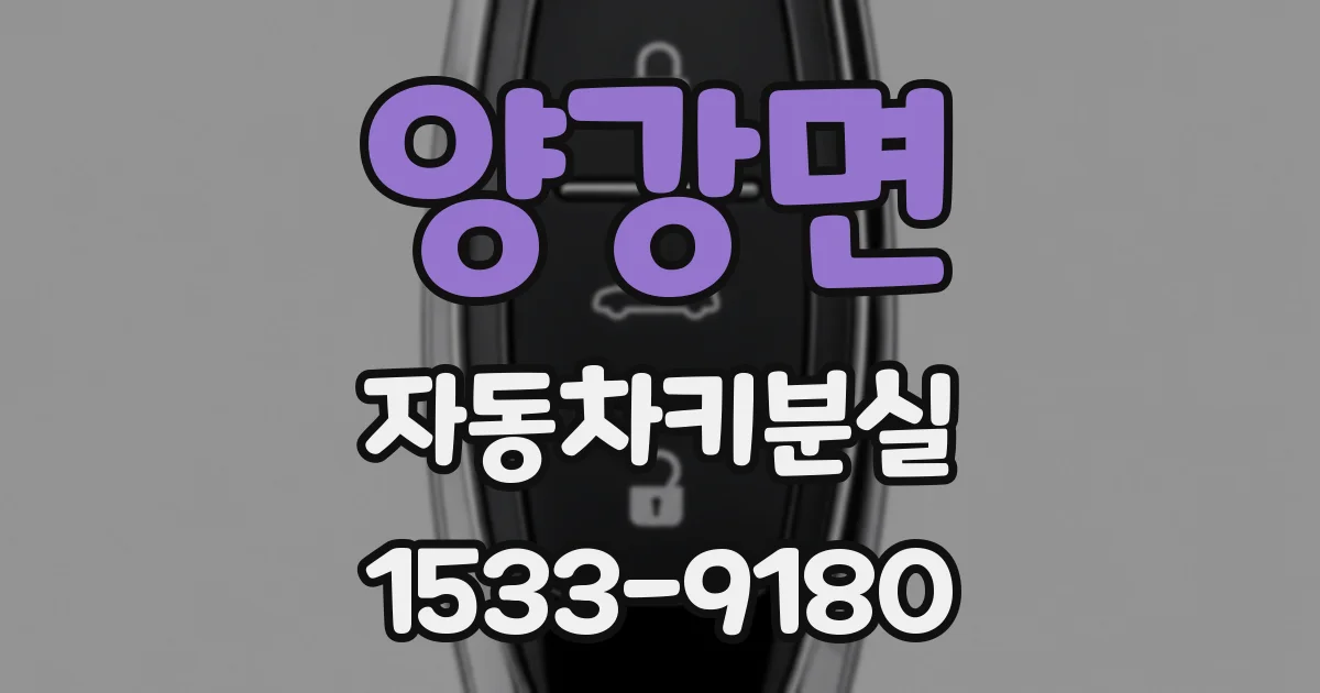 양강면 자동차키분실