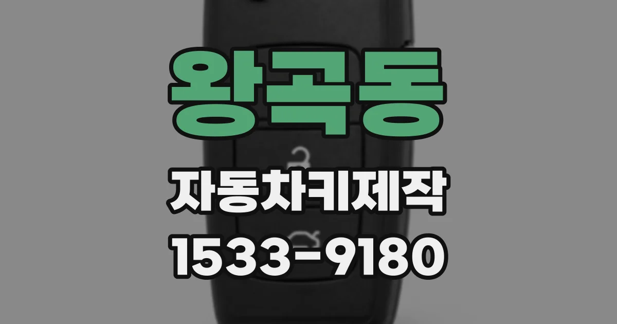 왕곡동 자동차키제작