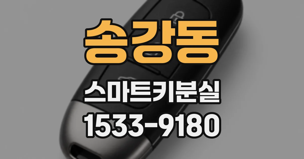 송강동 스마트키분실