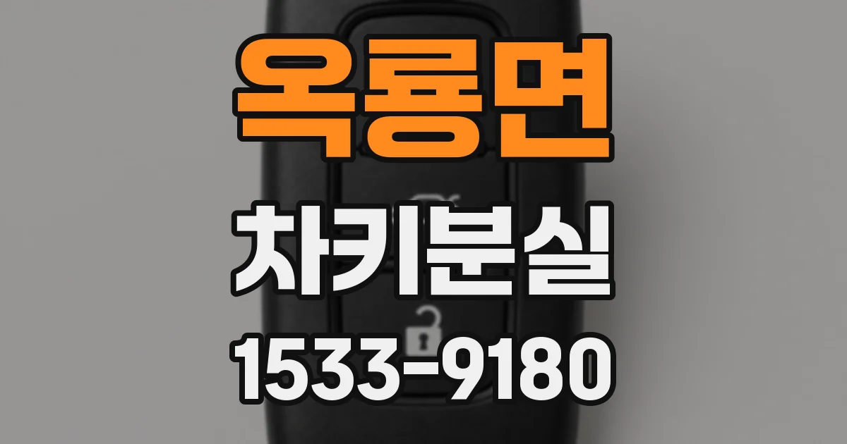 옥룡면 차키분실