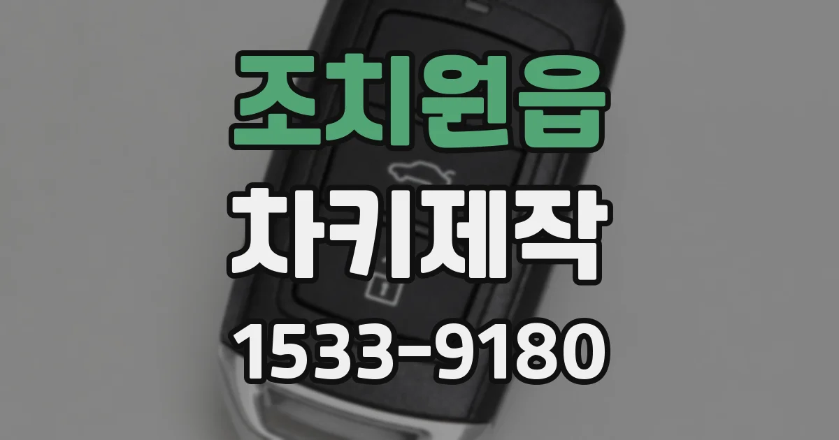 조치원읍 차키제작