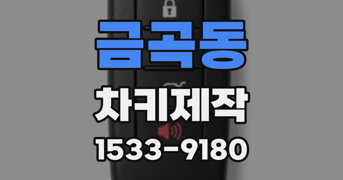 금곡동 차키제작