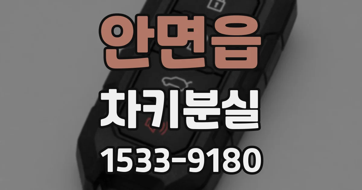 안면읍 차키분실
