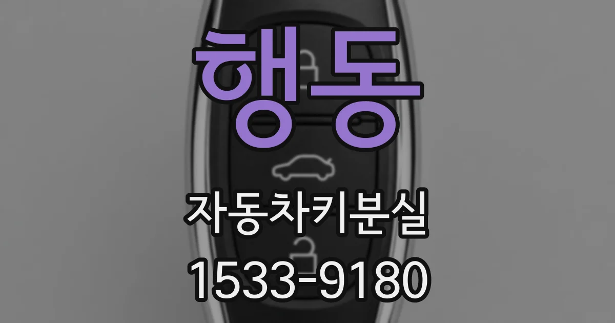 행동 자동차키분실