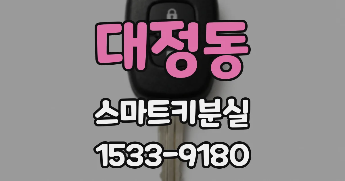 대정동 스마트키분실