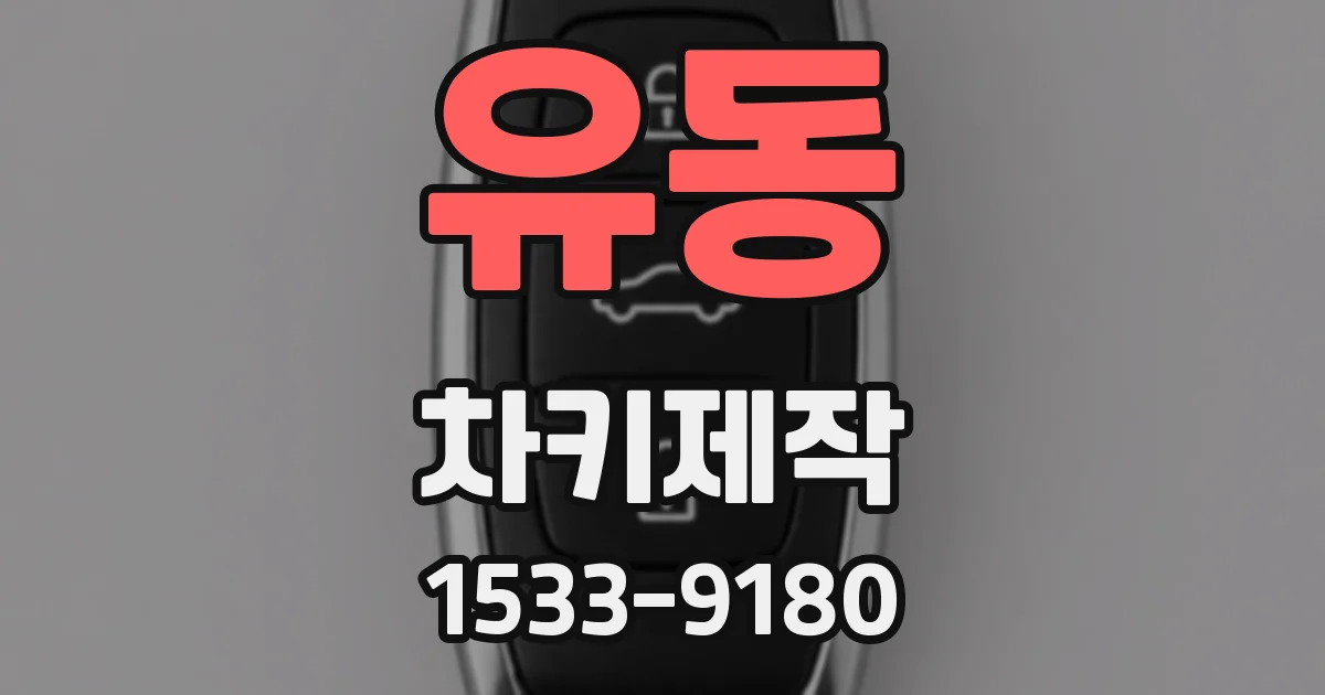 유동 차키제작