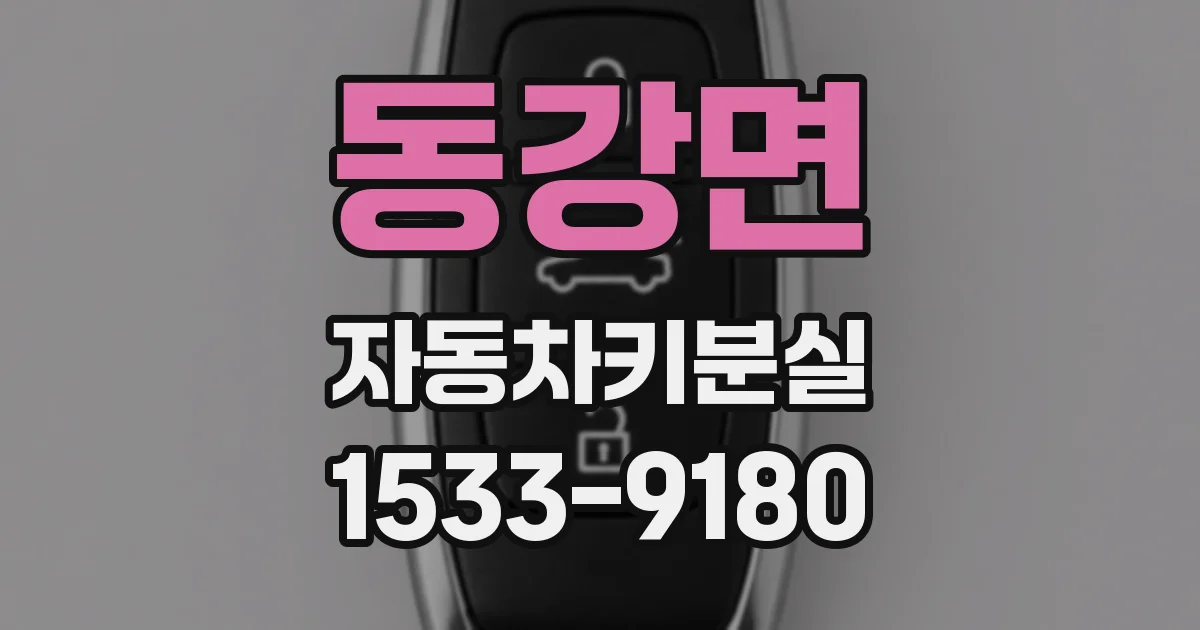 동강면 자동차키분실