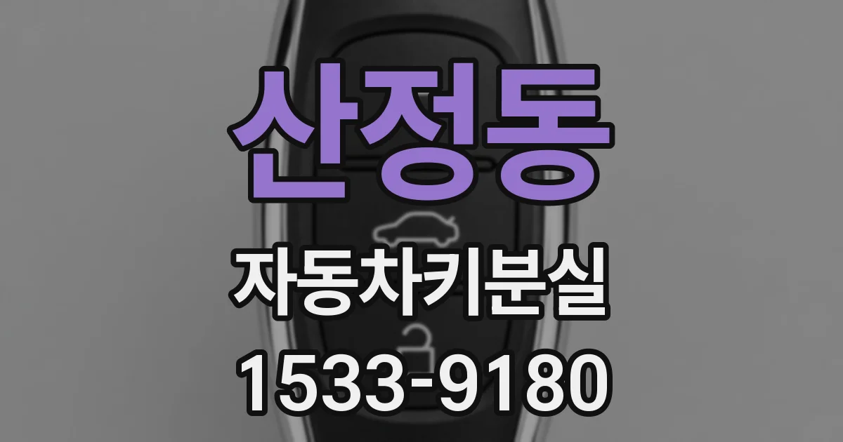 산정동 자동차키분실