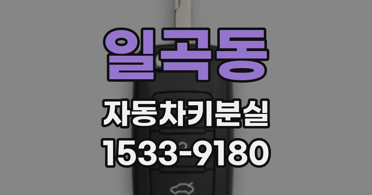 일곡동 자동차키분실