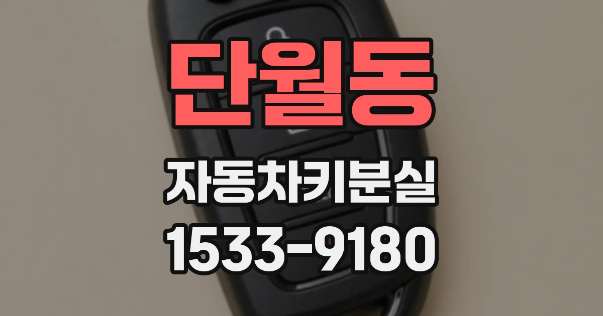 단월동 자동차키분실