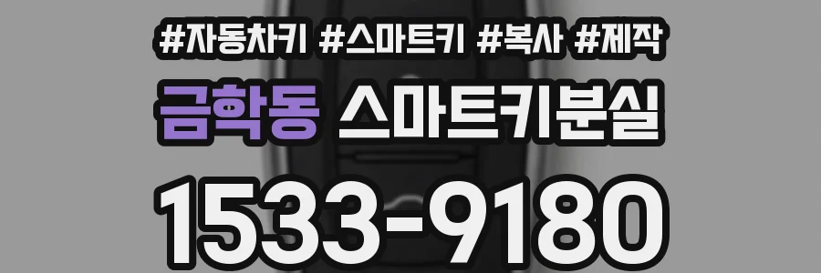 금학동 스마트키분실