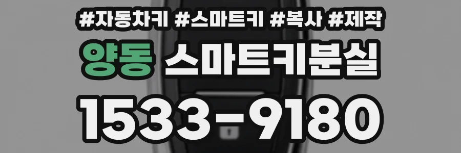 양동 스마트키분실