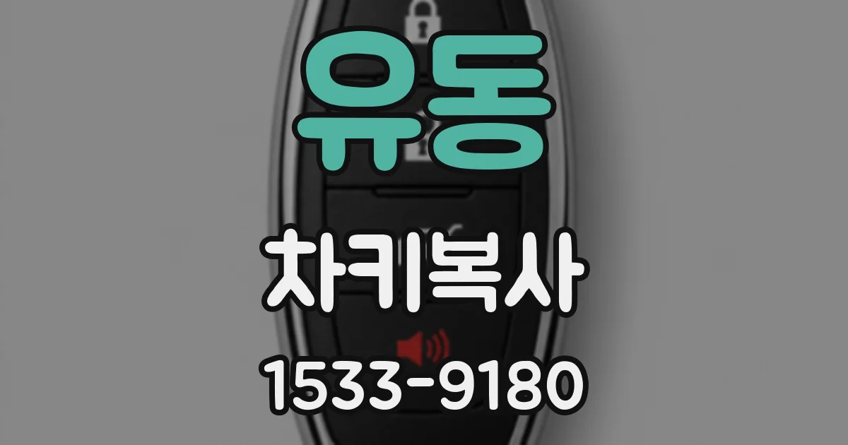 유동 차키복사
