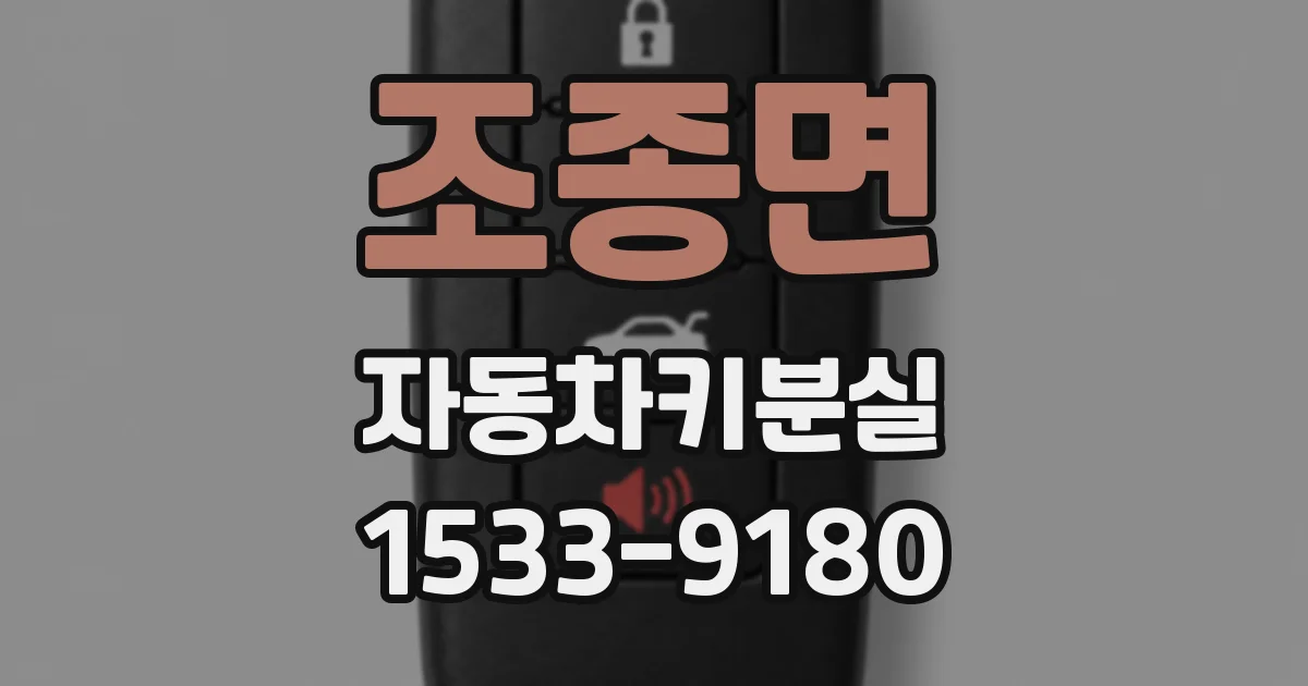 조종면 자동차키분실