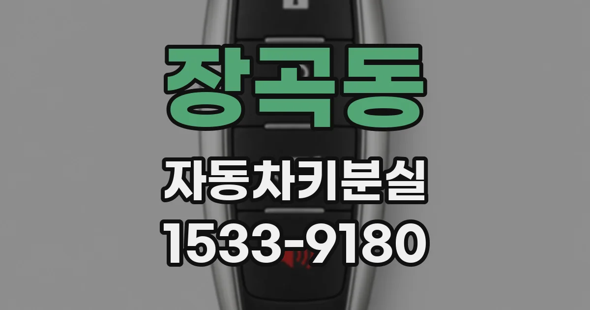 장곡동 자동차키분실