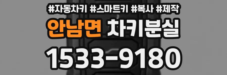 안남면 차키분실