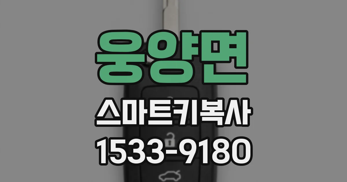 웅양면 스마트키복사