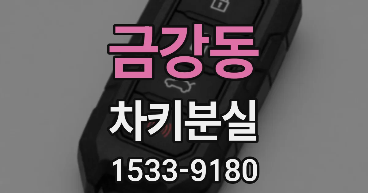 금강동 차키분실