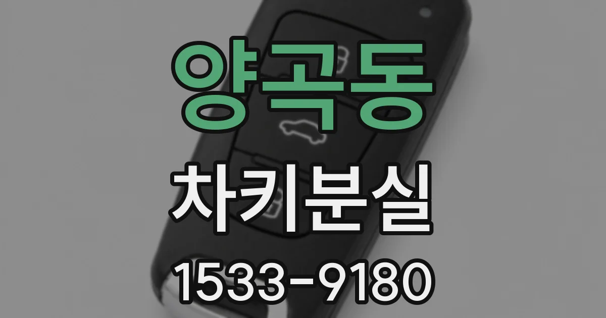 양곡동 차키분실