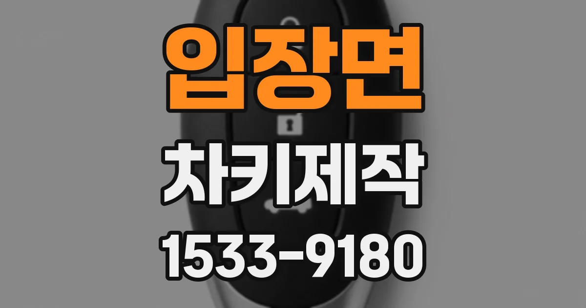 입장면 차키제작