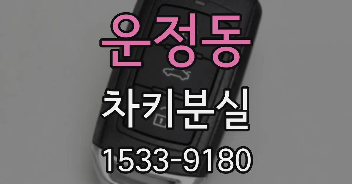 운정동 차키분실