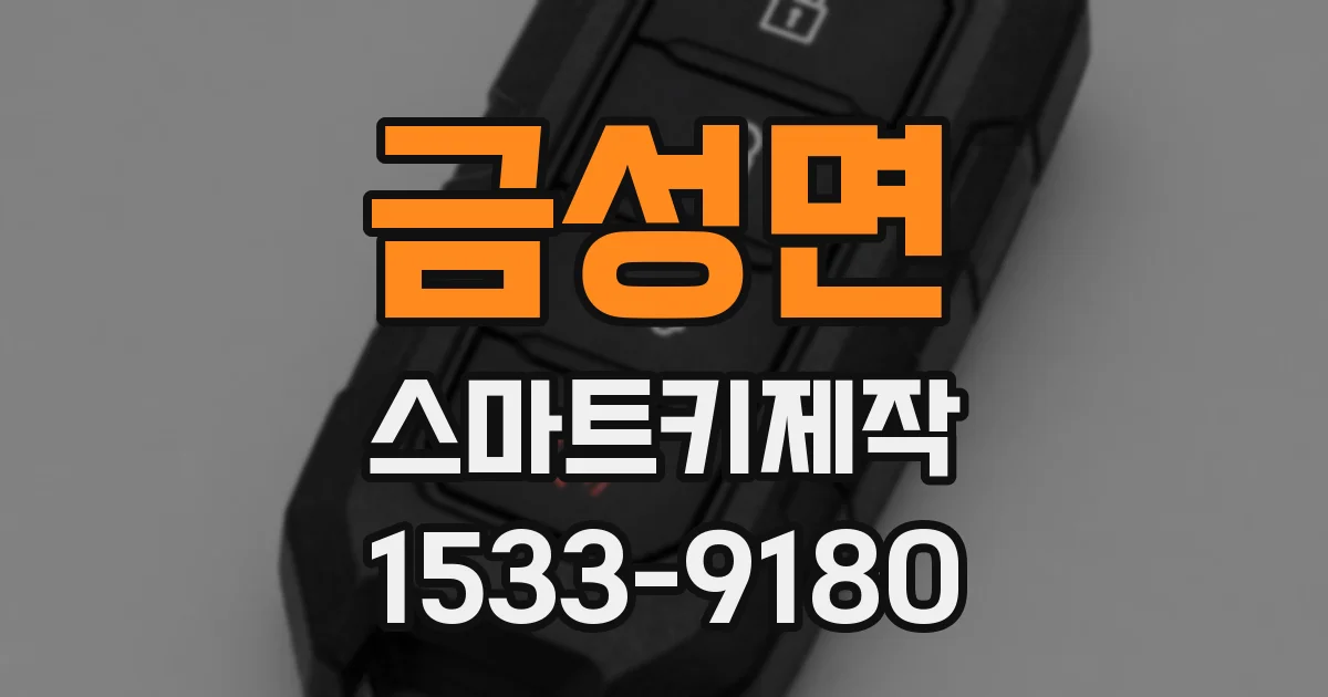 금성면 스마트키제작