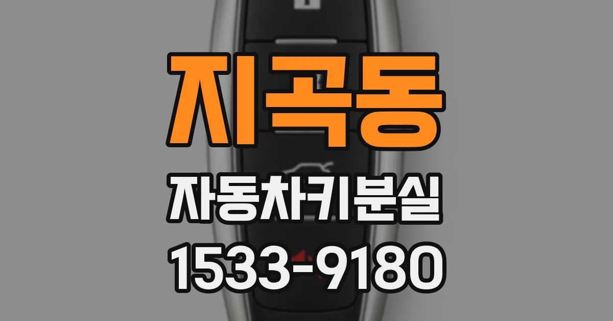 지곡동 자동차키분실