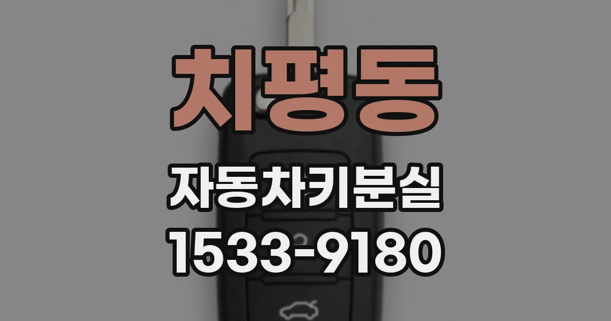 치평동 자동차키분실