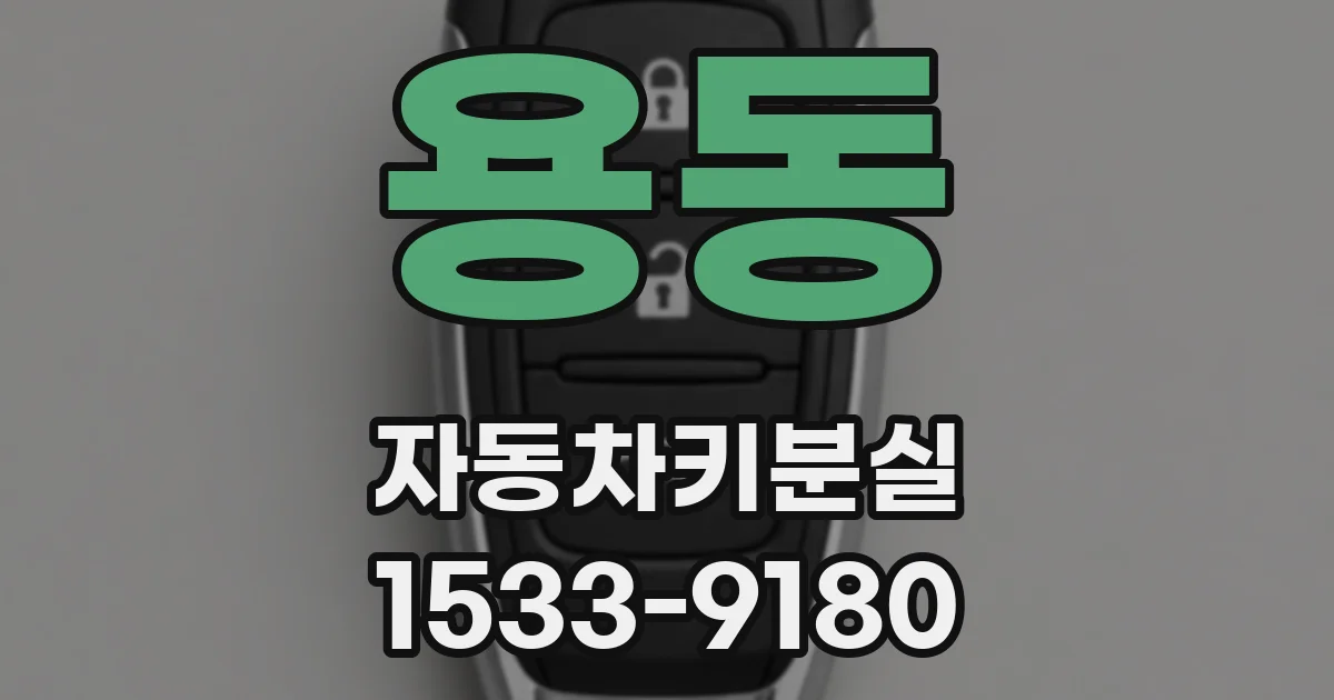 용동 자동차키분실