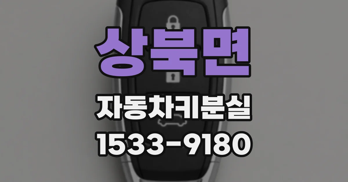 상북면 자동차키분실