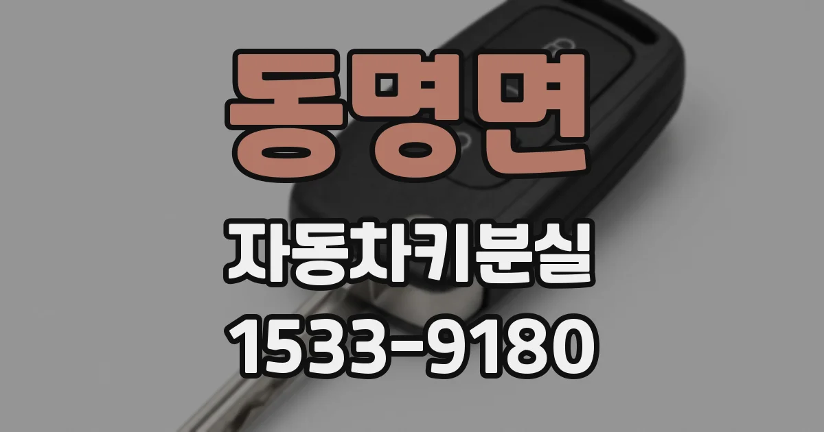 동명면 자동차키분실