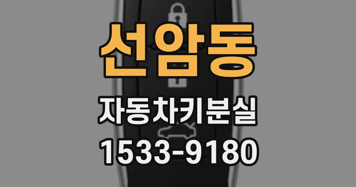 선암동 자동차키분실