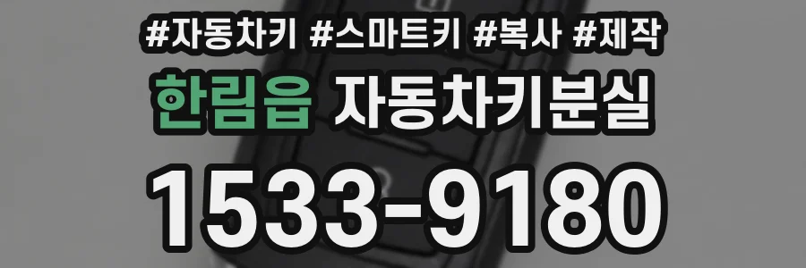 한림읍 자동차키분실