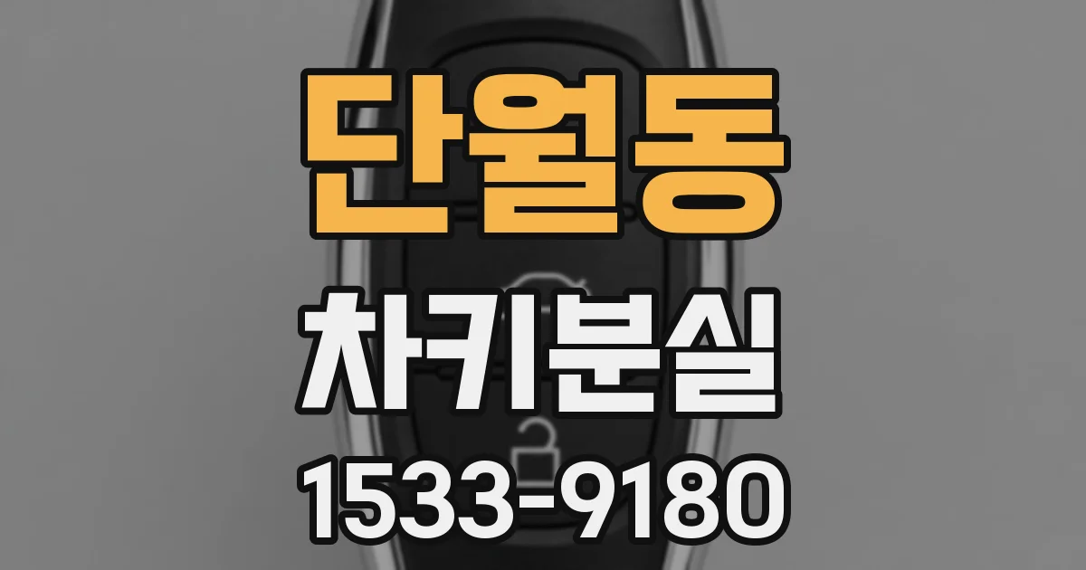 단월동 차키분실