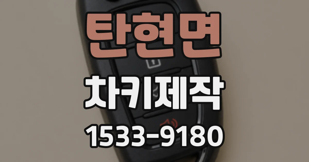 탄현면 차키제작