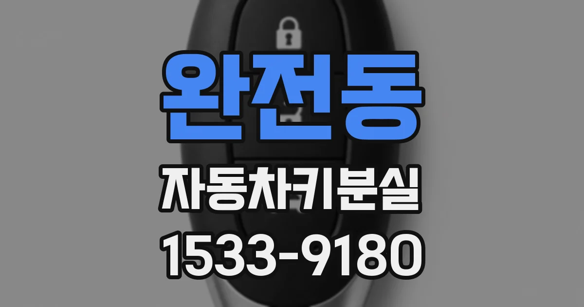 완전동 자동차키분실